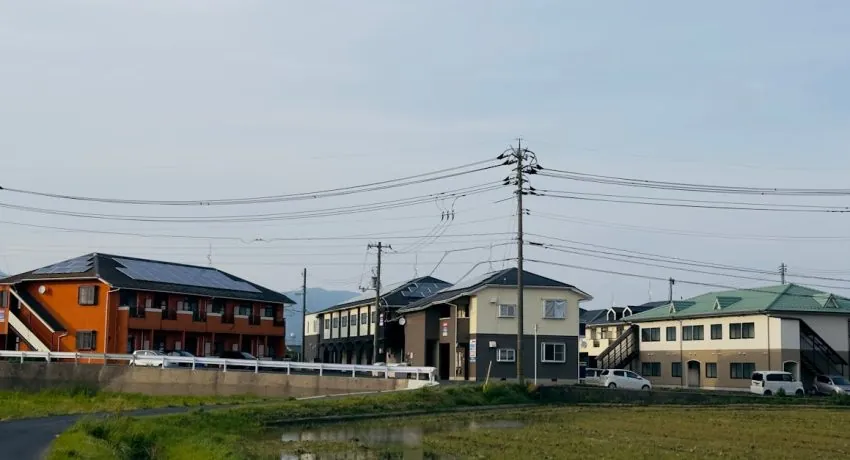 image_683100be6d1bd7.75004752-1